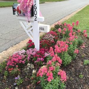 Meet your Posher, Gloria